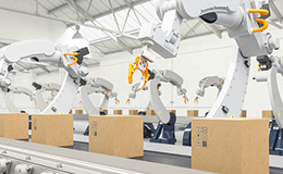 Wholesale Automation Report