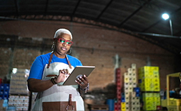 Wholesale Transportation Management Systems Report