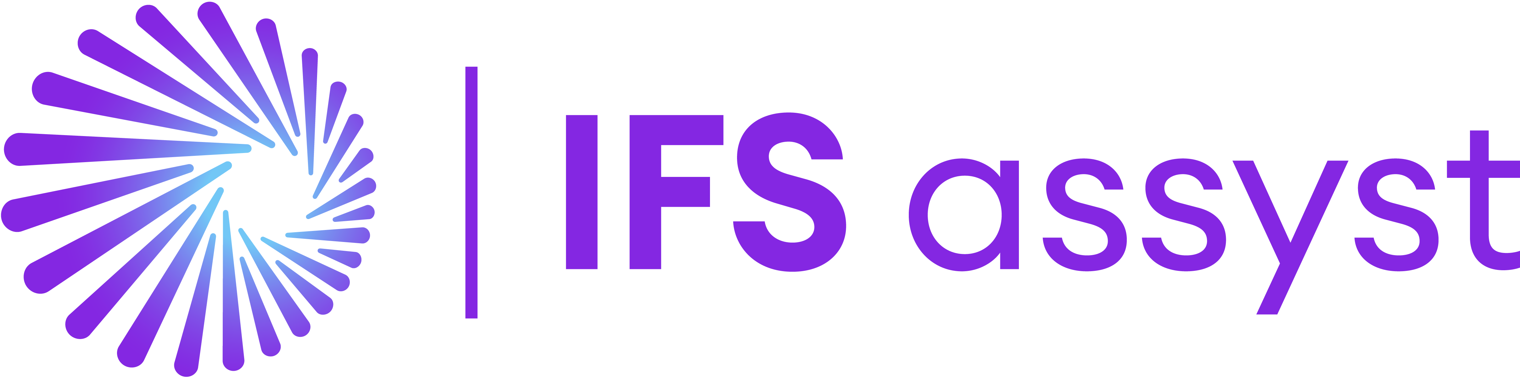 IFS assyst